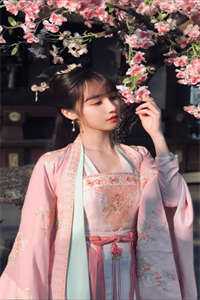 爱如潮生，恨如春草小说贺雨霖赵思文完结版
