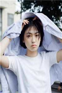 柳如烟陈平安青云直上九万里小说全文免费阅读