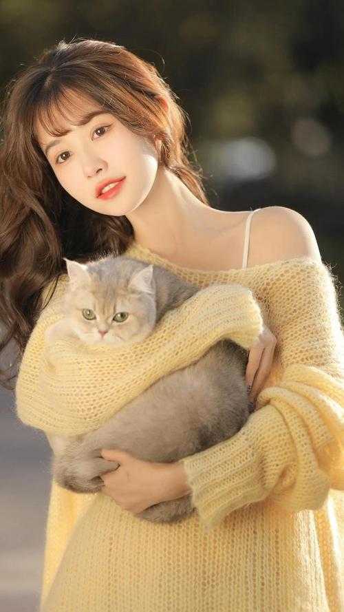 宦海猎手宋观潮李福海