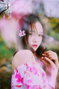 梨花落(霍澍朝堂)