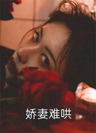 官路芳美人刘志中张宏阳小说