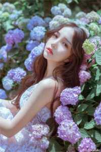 结局+番外人血之花抖音热门