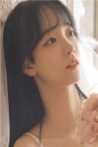猫狗离情江亦宋婉鱼全文小说